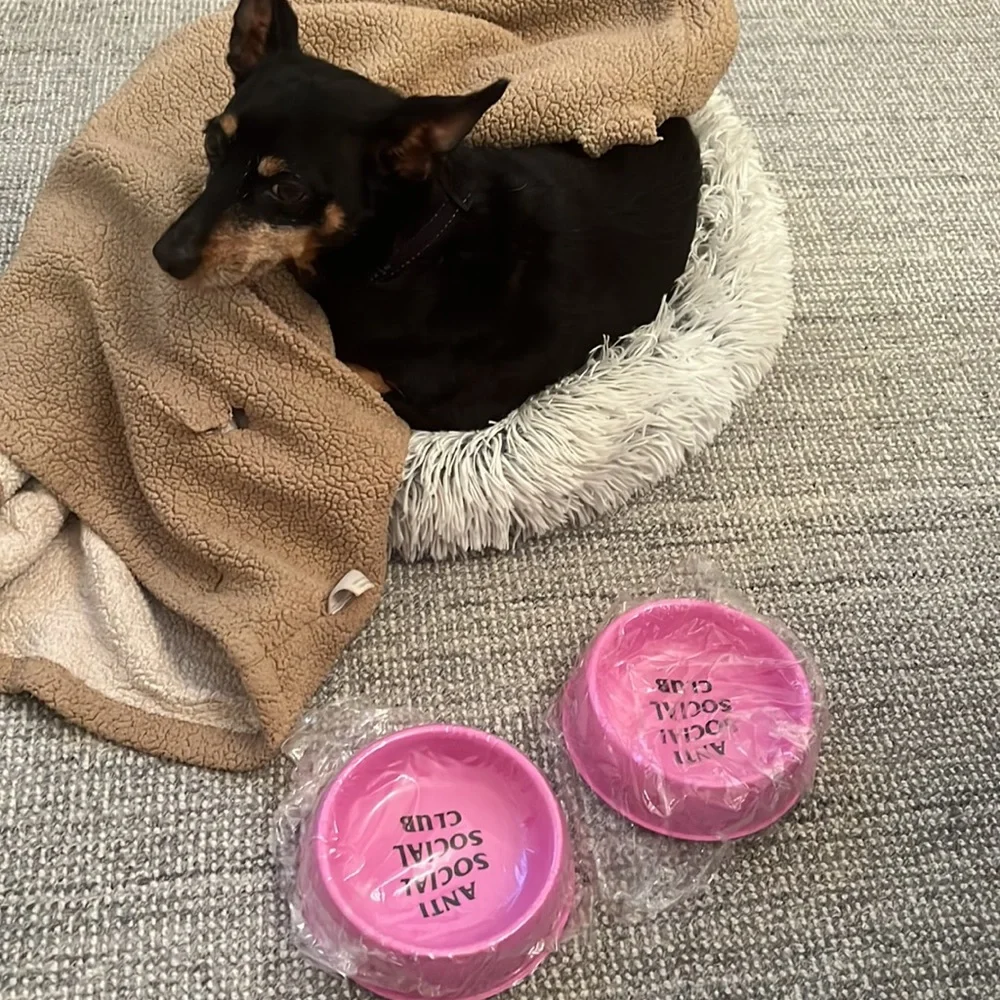 - 🔥2X HOST PICK🔥 NWT Anti Social Social Club Dog Bowl